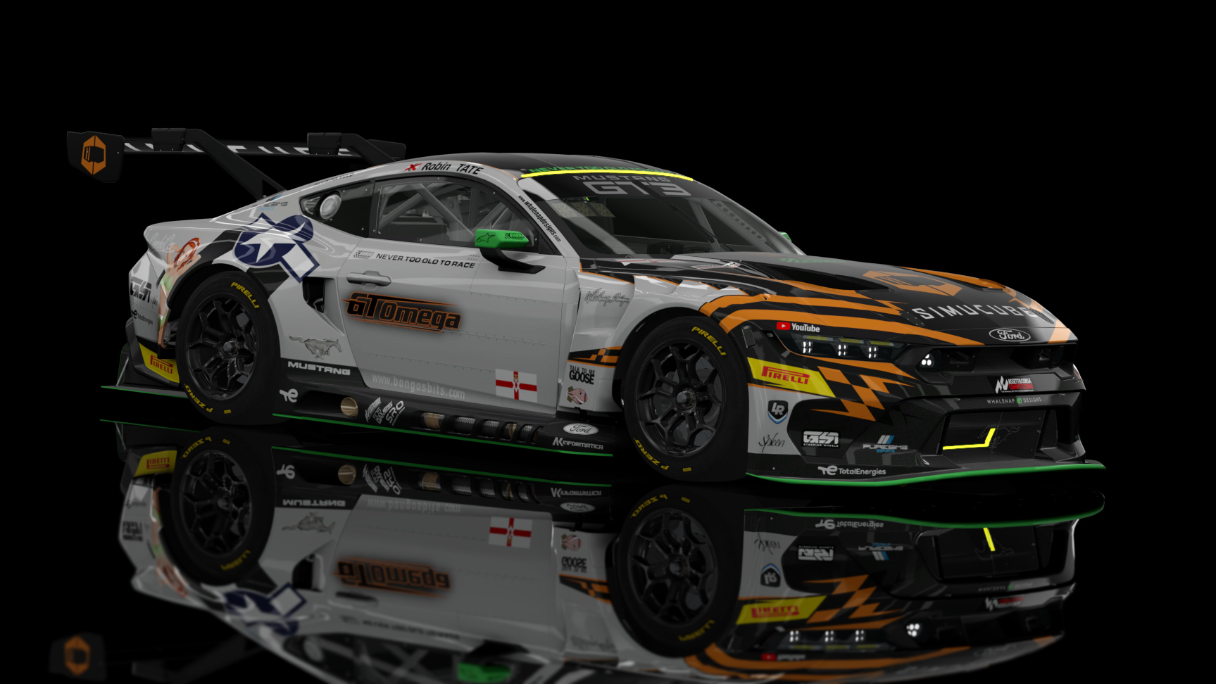 ACF GT3 - Ford Mustang GT3 2024, skin TTMG