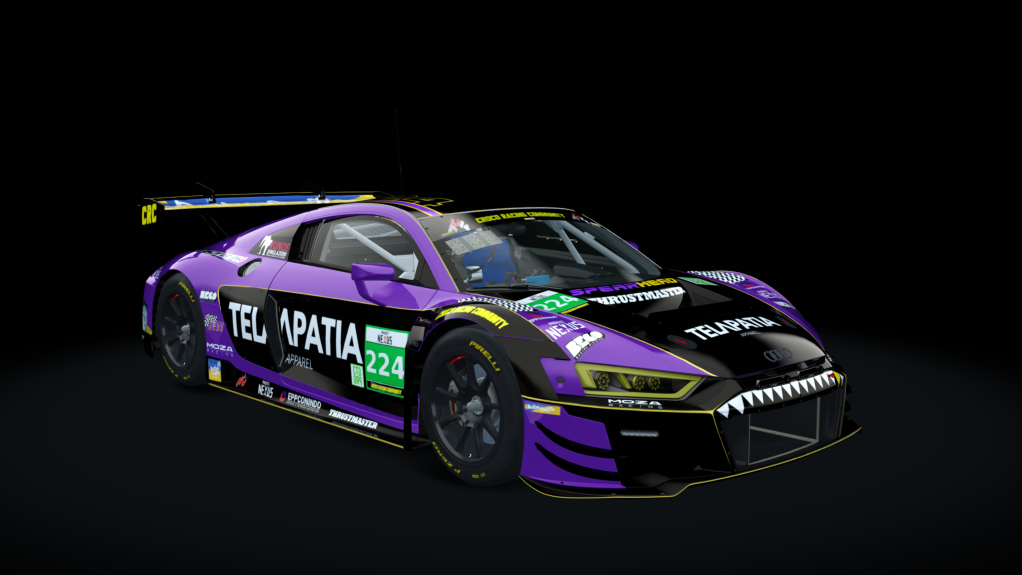 ACF GT3 - Audi R8 LMS EVO II 2021, skin SPEARHEAD ARMANI RACING_GT3_PRO_#224